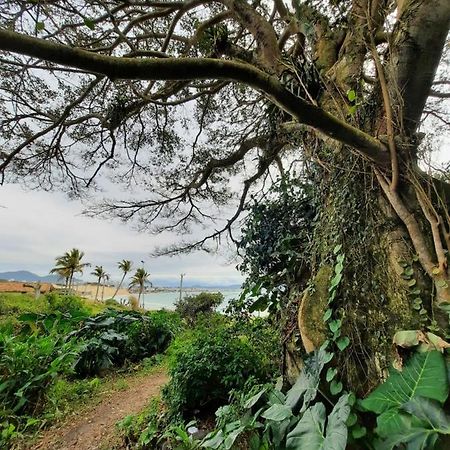 フロリアノポリス Imobilha - Casa De Praia Ingleses - Santinhoヴィラ エクステリア 写真